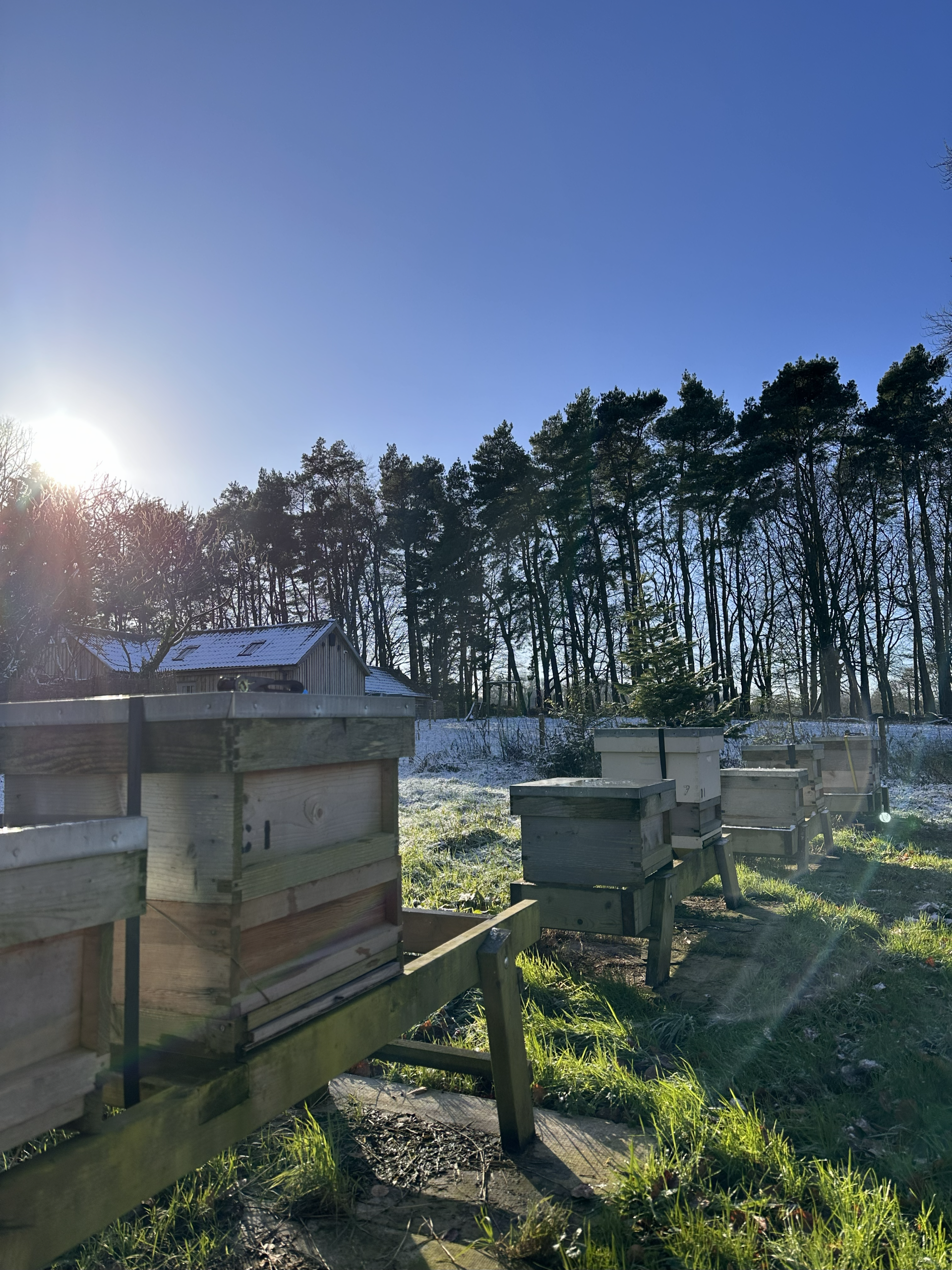 Apprilis beehives